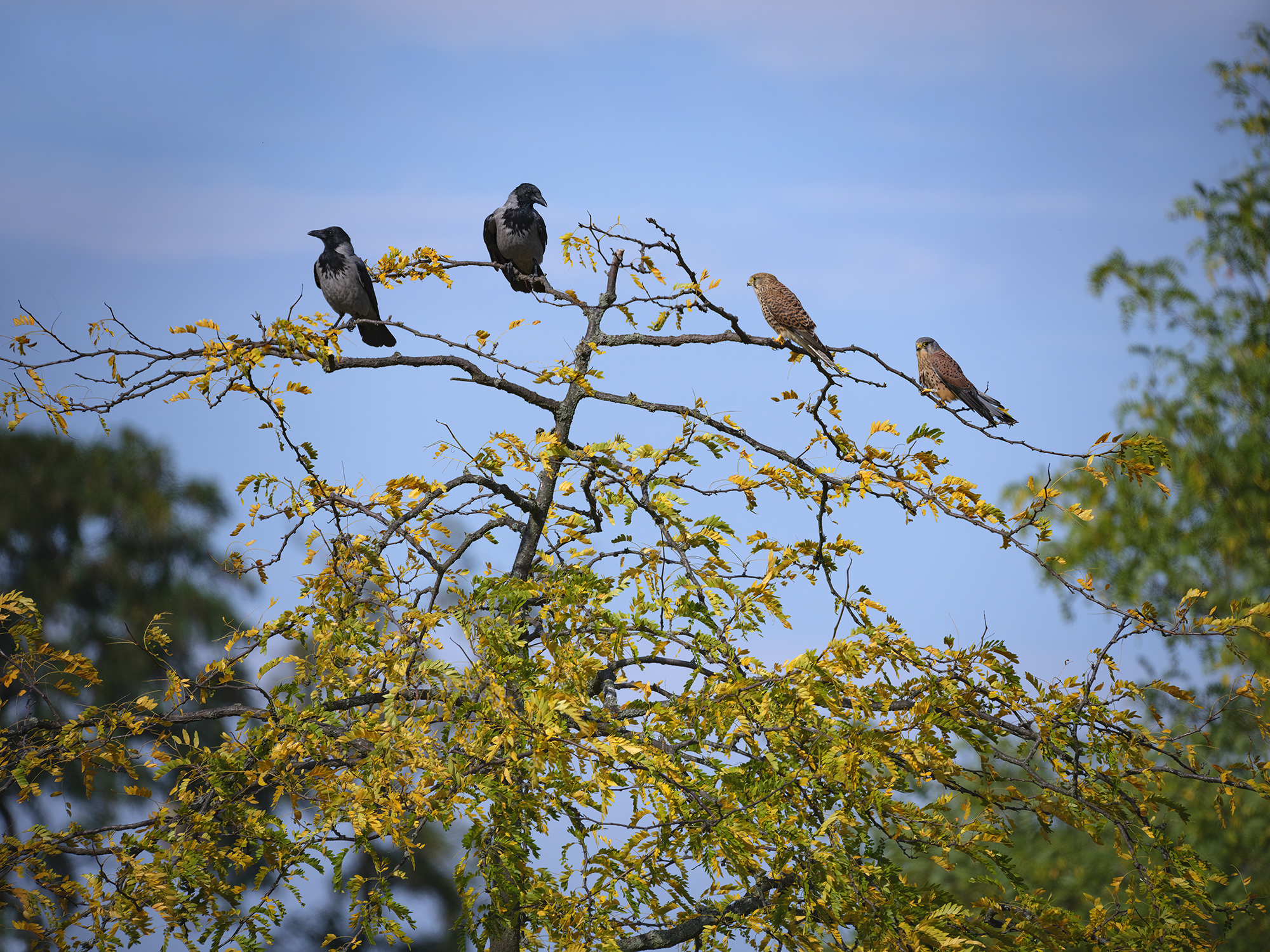 Die Nachbarschaft
